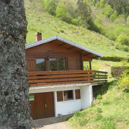 Chalet Les Jonquilles La Bresse Esterno foto