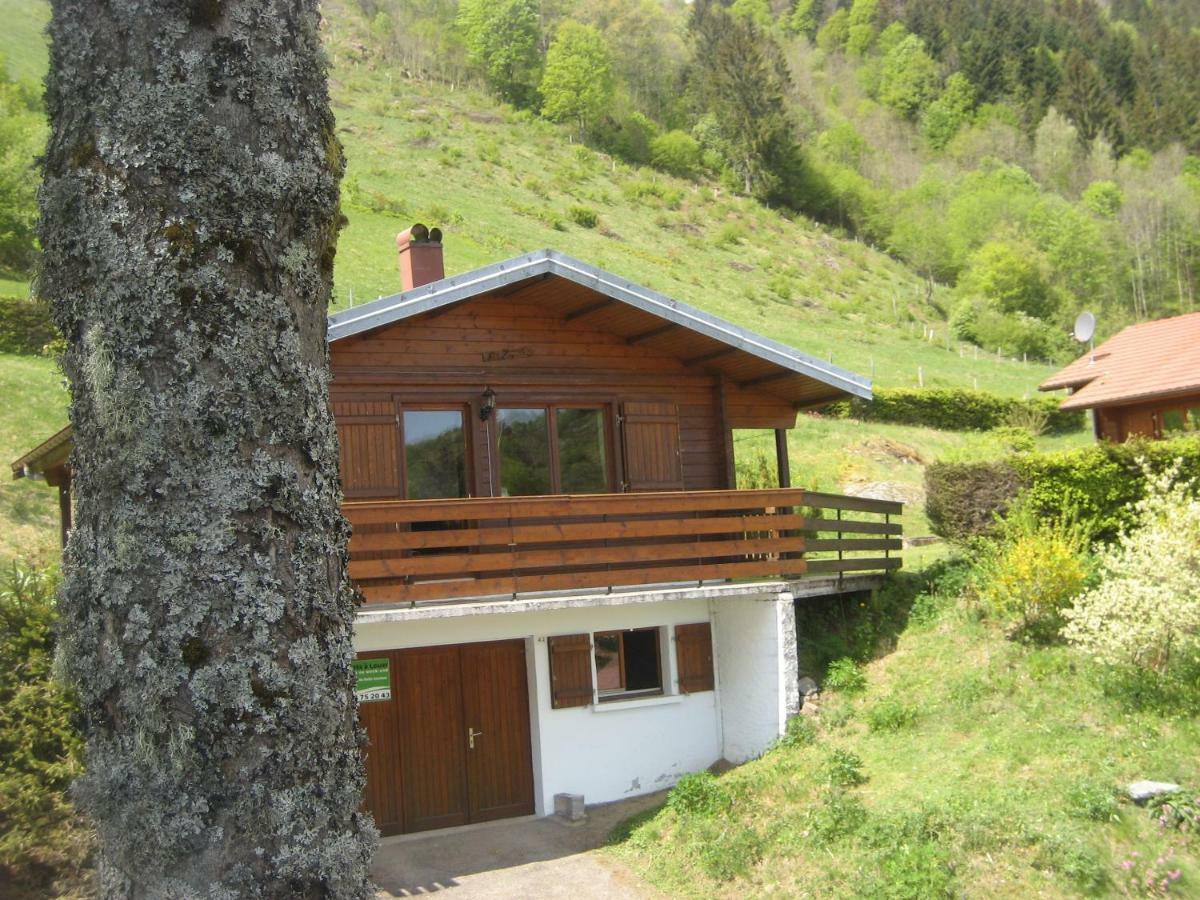 Chalet Les Jonquilles La Bresse Esterno foto