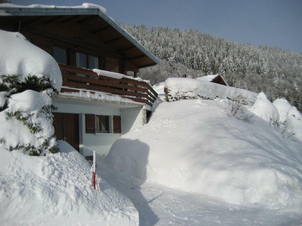 Chalet Les Jonquilles La Bresse Esterno foto